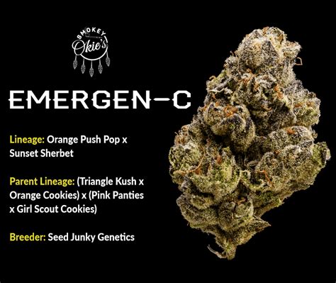Emergency weed strain. Things To Know About Emergency weed strain. 